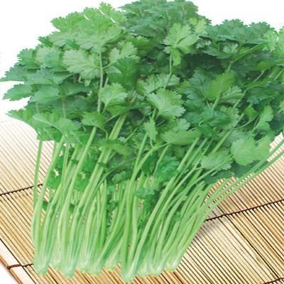 香菜/芫荽