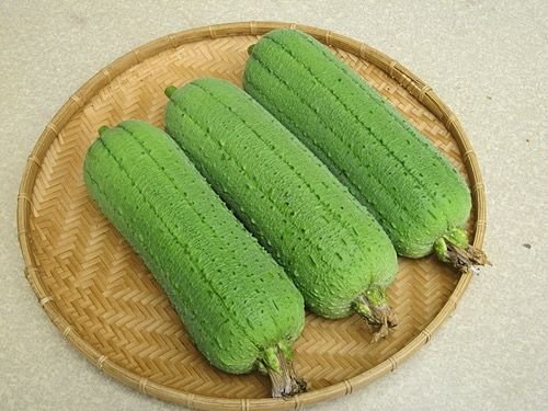 絲瓜