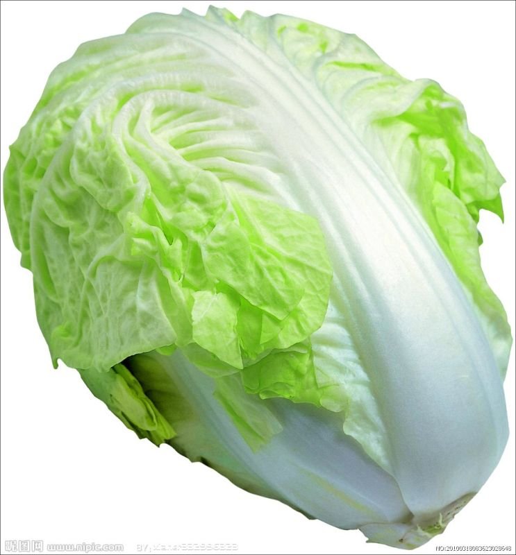 包心白菜